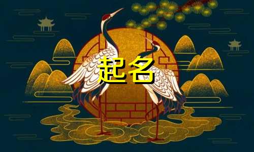 用数字起名的酒吧有哪些