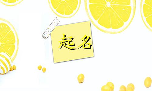 用小新起名有哪些好听的