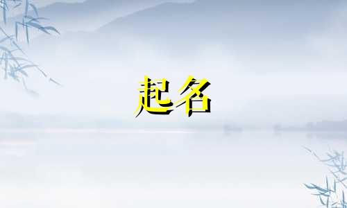 新车起名有哪些套路的车