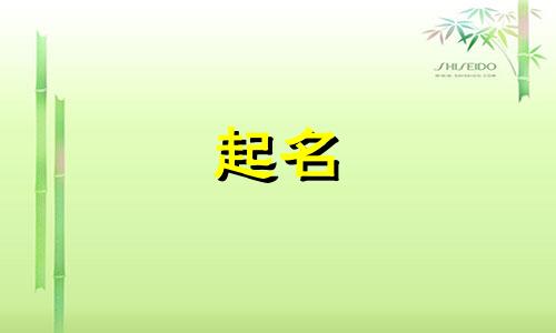平台起名软件网站有哪些