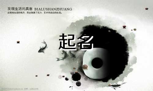 宠物博主起名软件有哪些