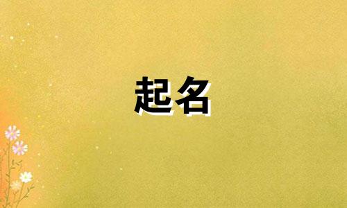 北京起名女孩小名字有哪些