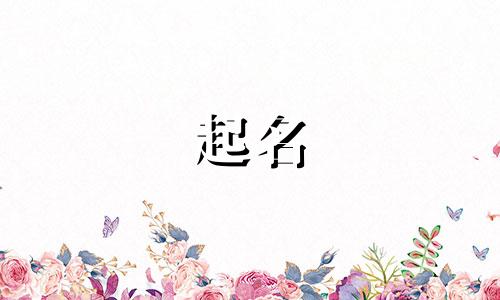 帮婴儿起名的大师有哪些