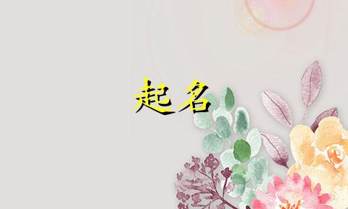 域名起名时应注意哪些事项