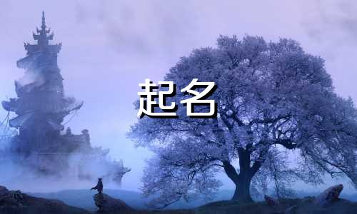 男孩起名王字旁有哪些字