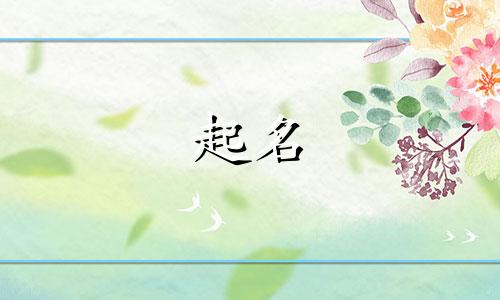 超市起名好记的名字有哪些