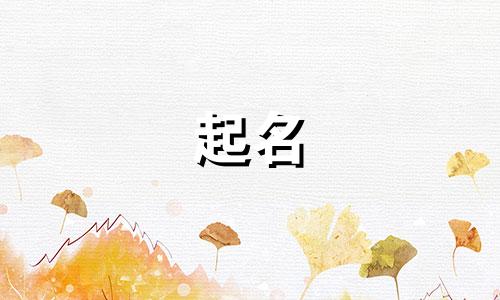 日租房起名软件有哪些好用