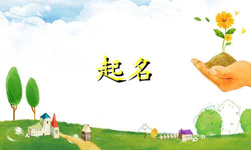 女孩起名常用汉字有哪些字体