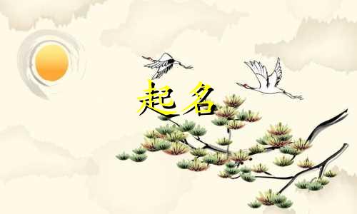 起名的词汇大全有哪些字