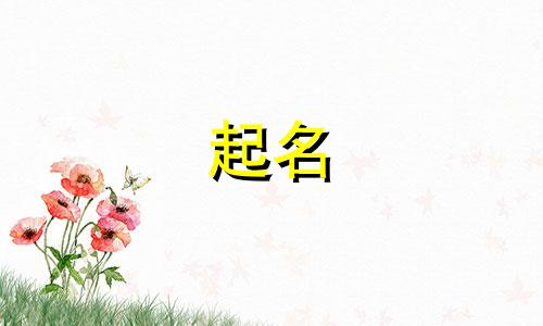 小白起名网站有哪些名字