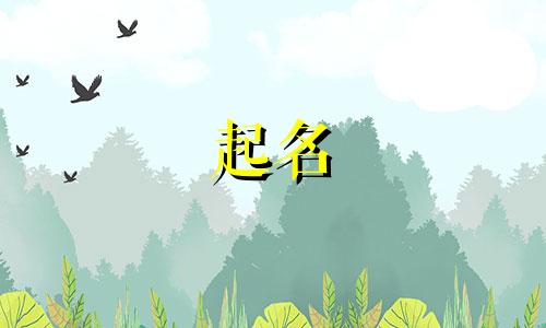 男孩起名的词汇有哪些字