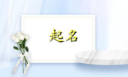 产品号起名的原则有哪些