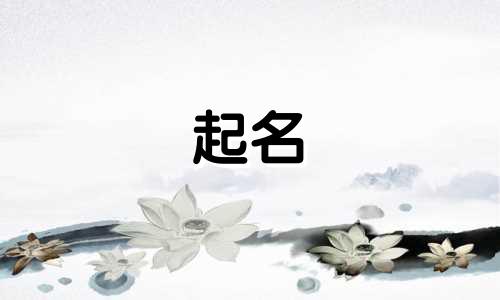 起名子用哪些字好听女孩