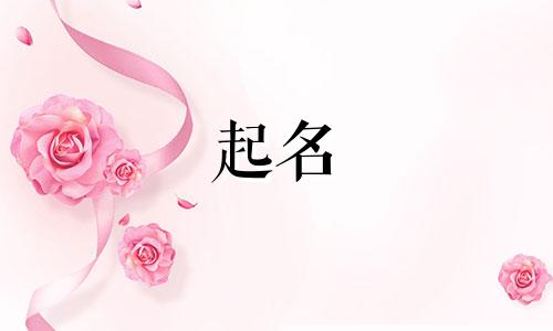 兄弟起名的字都有哪些名字