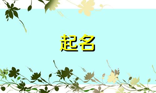 拆分音节起名的词语有哪些