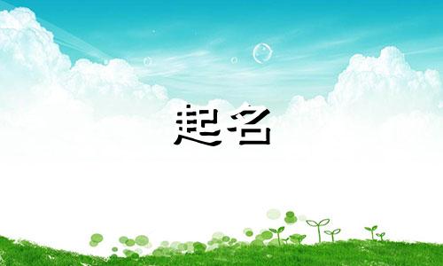 公司的起名搞笑名字有哪些