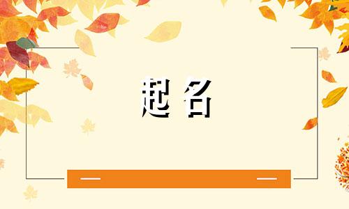 苹果用户随机起名软件有哪些