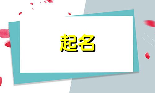 露营文化公司起名后缀有哪些