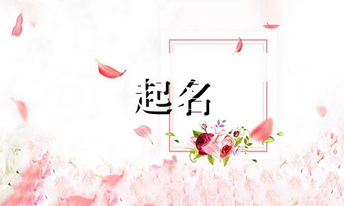 宝宝起名用到的字体有哪些