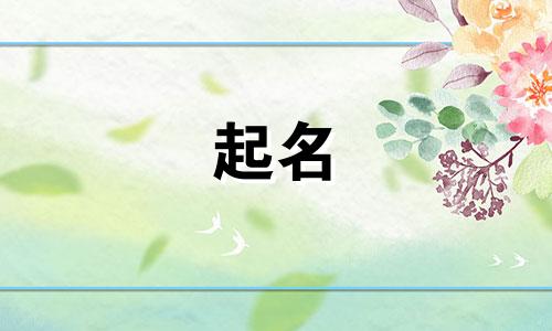 起名不给草稿的原因有哪些