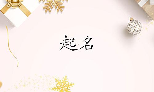 不会起名的明星人物有哪些