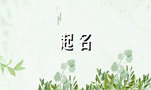 团队起名典故有哪些名字