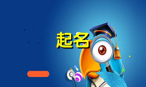 蟑螂起名网站有哪些名字