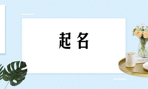 个人起名网站有哪些好