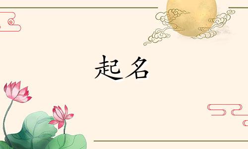 图文类起名软件有哪些好用