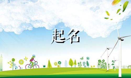 公司起名哪些字好听点的