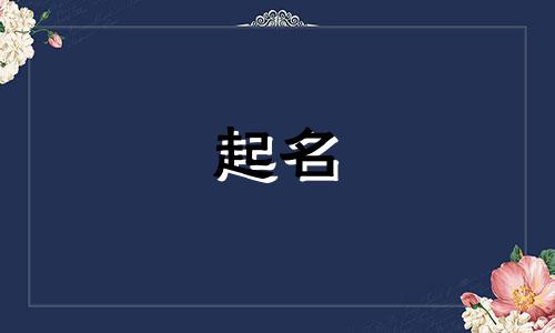 皮革涂料起名字有哪些