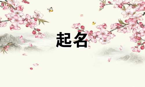 老虎起名衣字旁有哪些含义