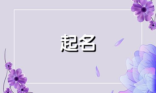 大气的教育机构起名有哪些