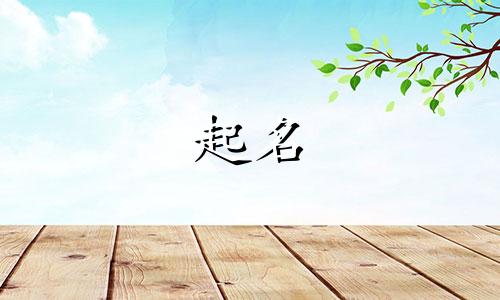 女宝宝起名妙字有哪些