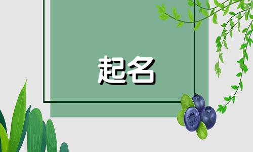 宝宝起名谐音字有哪些名字