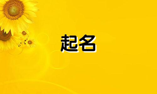 公司起名神奇的名字有哪些