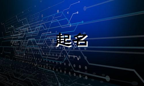 最好起名软件有哪些免费的