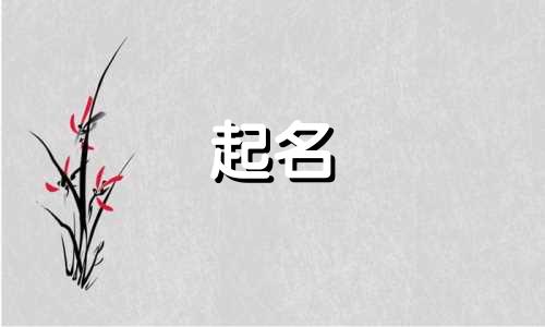 开店起名好记的名字有哪些