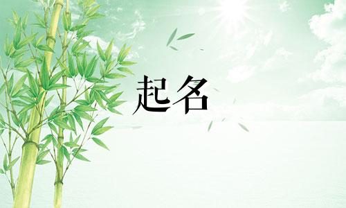 活泼的动物起名有哪些名字