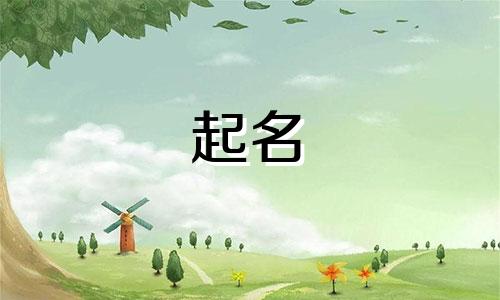 起名看哪些书好呢女生英文