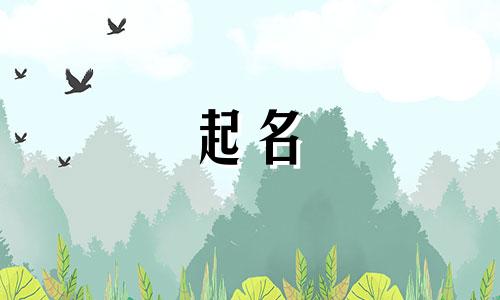 安徽阜阳起名人演出有哪些