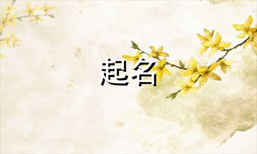 人物起名谐音名字有哪些