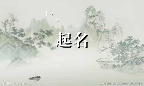 公司起名成功的案例有哪些