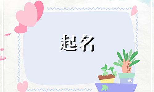 国外起名软件有哪些好的