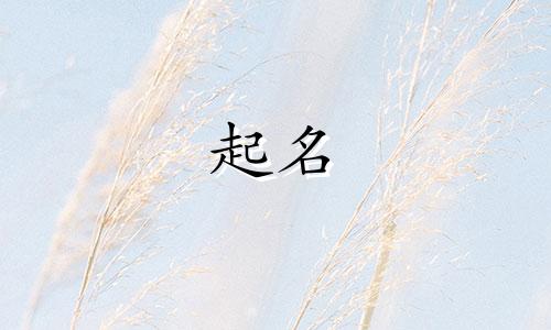 水果起名不重名的有哪些