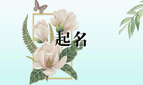 兔年宝宝起名用哪些字好