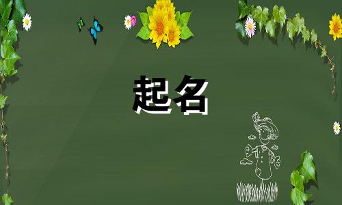 短视频起名神器有哪些名字