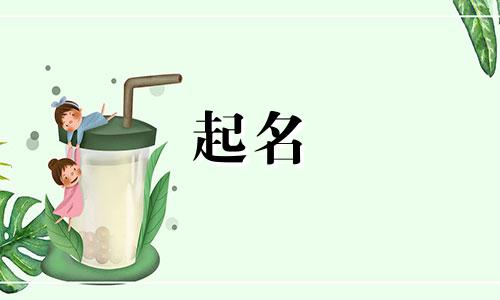 免费起名小程序有哪些软件