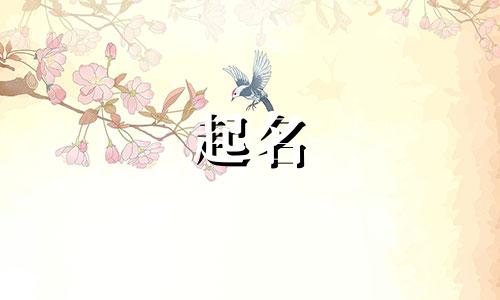 舞蹈启蒙班起名有哪些字