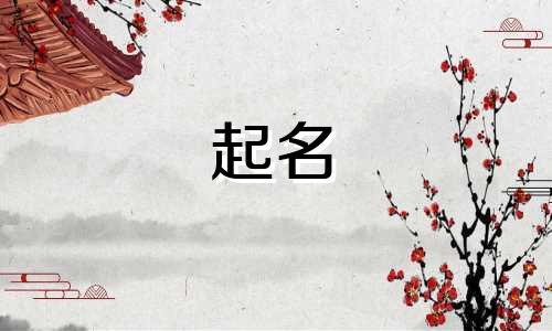 小孩起名要用的字母是哪些